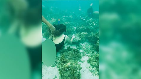 TOUCHING TURTLE. This screenshot of a viral video shows a female tourist snorkeling in Moalboal, southwestern Cebu touching a turtle on March 9, 2024. Snorkeling regulations in the municipality strictly prohibit touching turtles and other sea creatures.  / CLAUDINE FLORES