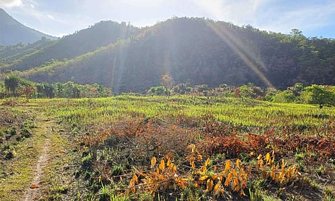 One of the largest solar power plants in Davao Oriental, which is in Barangay Maputi, Banaybanay, will operate this October 2024.