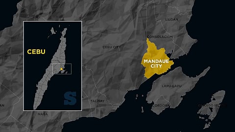 Truckers call for 60-day break from Mandaue City ban