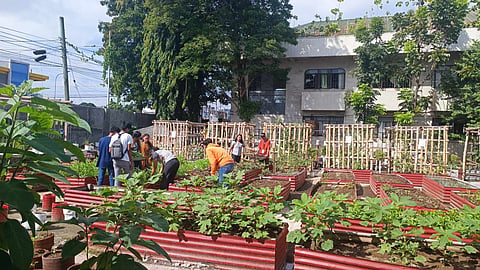 Food security through innovation