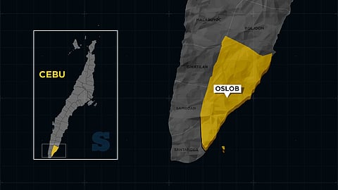 Barangay councilor, runner nabbed in shabu buy-bust