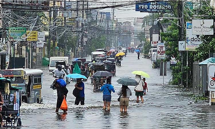 DOH reports decline in leptospirosis cases