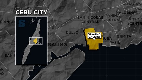 Mihakop sa halin sa tindahan, sikop
