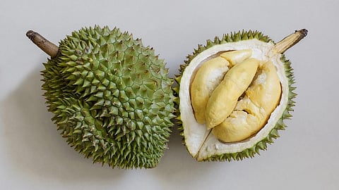 Eng Seng Food Products eyes to export 10,000T of durian to China