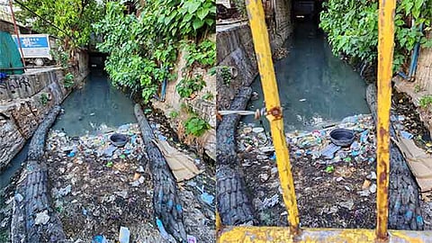 Garbage floating on Parian creek