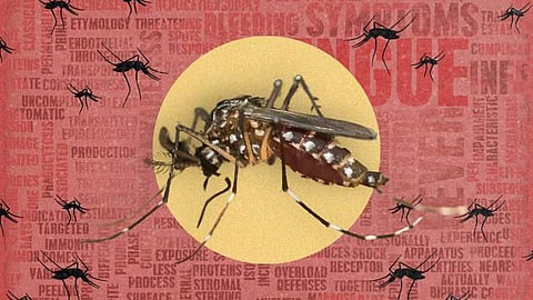 5,880 dengue cases in six months