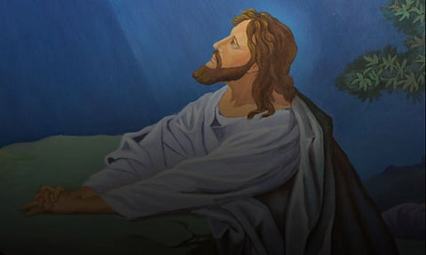 Daily Bible Reading - October 28, 2024