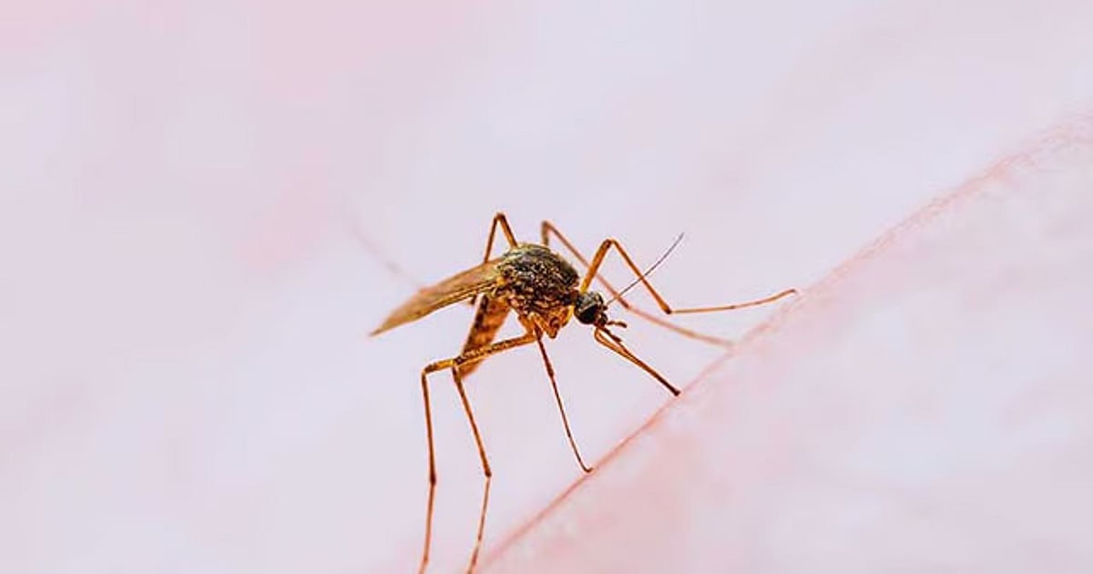 DOH: More than 128,000 dengue cases reported