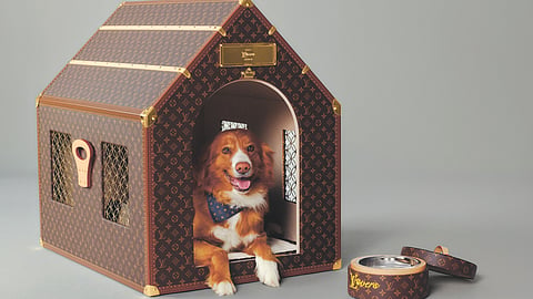 CCAWC proposes budget for animal 
welfare programs