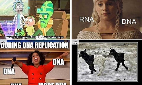 Ateneo study finds memes improve learning, attitude towards science