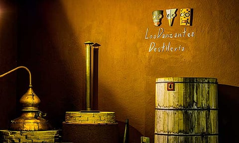 Remodeled in 1997, Destilería Los Danzantes maintained the use of traditional and artisanal distillery processes.