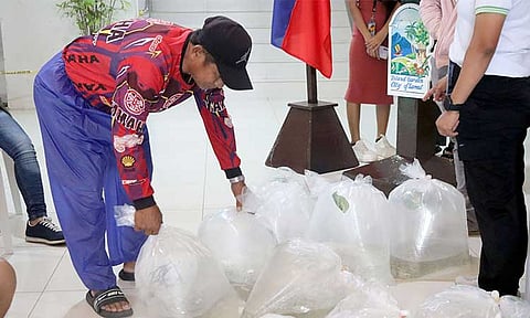 Around 25,000 fingerlings were distributed to 20 backyard fish farmers in the Island Garden City of Samal (Igacos) on February 28, 2025. 