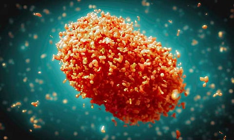 CHO tracks Mpox cases in Davao 