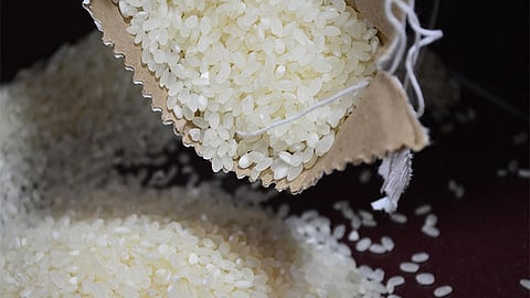 Lapu-Lapu resumes P20 rice sale amid rising commodity prices 
