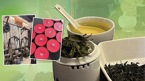 'Tea-rivia'  time! 5 things we learned about tea in Taiwan