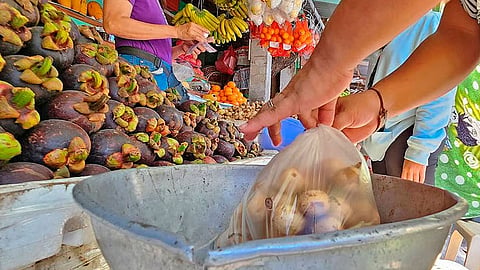 3 ka adlaw nang idili ang paggamit sa plastik sa Lapu