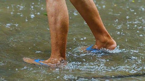 DOH: Leptospirosis cases surging