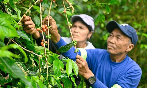 Alsons Power spurs green growth in Sarangani