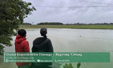 INUNDATED. A flooded rice field in Bago City, Negros Occidental in this photo taken on July 18, 2025. The Department of Agriculture on Wednesday (July 23, 2025) said that available aid to affected farmers and fishers rose to almost PHP1.2 billion. (Photo courtesy of Bago City Agriculture Facebook)