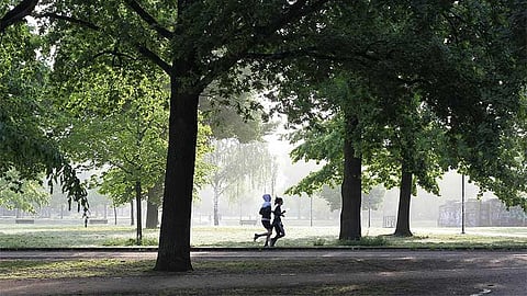 Exercise, Parks