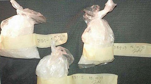 Businessman yields P1.7-M shabu in anti-drug operation