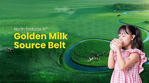 Pure fresh milk formula for growing kids