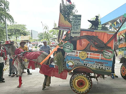 Honoring a timeless ride: The legacy of Tuguegarao’s ‘Kalesa’