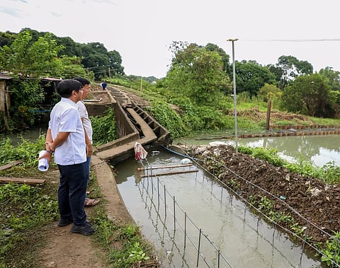 BULACAN. President Ferdinand Marcos Jr. inspects an alleged ghost flood control project in Baliuag, Bulacan, worth over P55 million but with no structure built despite full payment. He vowed to blacklist the contractor, Syms Construction Trading, and file charges against officials involved.