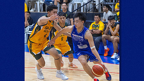 Panthers regain footing