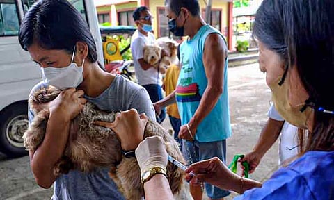 Dabawenyos are reminded anew to be responsible pet owners and have their cats and dogs vaccinated with the anti-rabies vaccine to help prevent the spread of rabies in the community. This is in line with Davao City’s observance of World Rabies Day on September 28.  The celebration is anchored to the theme “Act Now: You, Me, and Community.” 