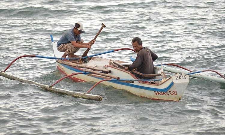Davao del Sur fisheries production rises 20.8%
