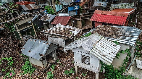 Payag-payag alang sa mga bukog 