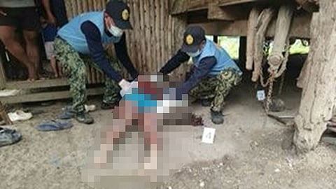 PRO-NIR orders creation of SITG in barangay kagawad slay