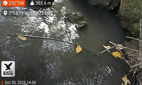 Davao City Councilor Temujin “Tek” Ocampo said the owner of a piggery allegedly responsible for discharging waste into the Panigan-Tamugan Watershed—causing the river water to turn black — will be summoned to a committee hearing to face investigation.