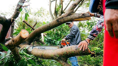 BACOLOD. At least 38 public schools in Bacolod City have been damaged by Typhoon Tino on November 4, 2025. 