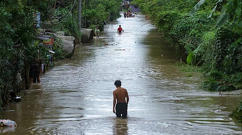 Leptospirosis