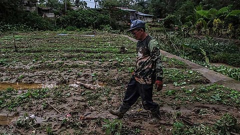 Lack of rain affects over 600 Cebu City farmers