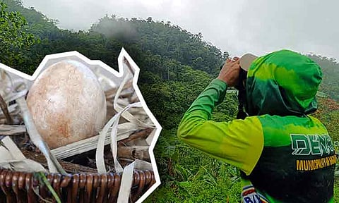 A forest guard looks toward the mountain through his binoculars, hoping to spot a pair of Philippine Eagles along Purok 8, Sitio Palilihan, Mahanub, Barangay Marahayag, Surigao del Norte. (Left image) The unhatched egg of a Philippine Eagle pair from Purok 8, Sitio Palilihan, Mahanub, Barangay Marahayag, Surigao del Norte, is unveiled during the launching of the campaign “Wildlife is Here in Gigaquit.”