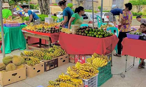 Rizal Park becomes a busy market every Thursday and Friday, with local farmers selling their organic fruits and vegetables. Their fresh produce shows their dedication to healthy and sustainable farming. The smell of fresh food fills the air, making the place pleasant for both sellers and visitors.