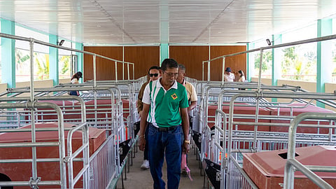 DA opens P10M bio-secured swine facility in Zamboanga del Norte