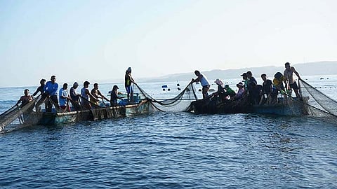 Produksyon sa pangisda sa Sugbo misaka og 8.33% niadtong 2025