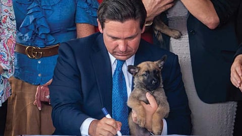 Florida passes ‘Dexter’s Law,’ bans animal abusers from owning pets