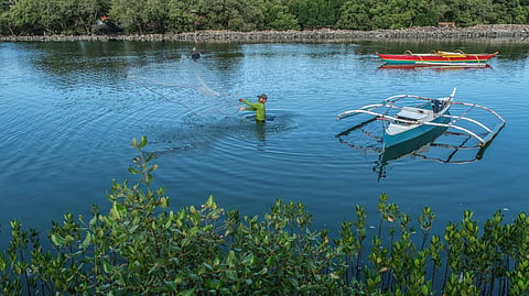 Trash to life: Inayawan mangroves