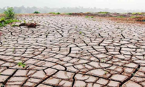 El Niño threat drives P117M farm losses in Davao Region