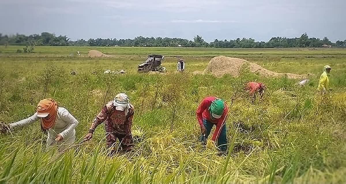 UN urges PH to prepare for El Niño