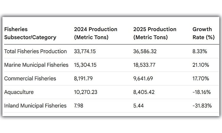 Cebu fish production rises 8.33% in 2025