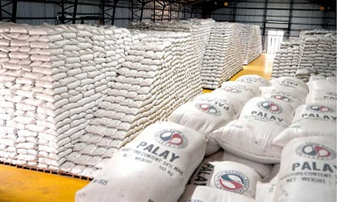 PALAY PROCUREMENT. Rice buffer stock piled at the National Food Authority (NFA) warehouse in Cabanatuan, Nueva Ecija on Oct. 17, 2025. NFA Administrator Larry Lacson on Monday (May 18, 2026) said it has aggressively stepped up its palay buying activities following a decline in private trader’s buying price. (PNA file photo)