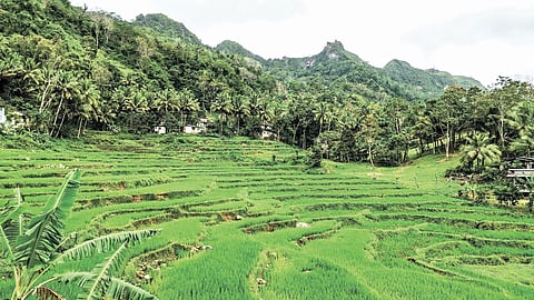 Super Suroy: Lunhaw nga Panaw sa Dalaguete