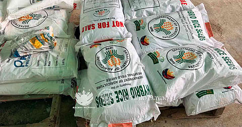 The Department of Agriculture-Davao Region (DA-Davao) distributed P23 million worth of hybrid seeds to three areas in Davao del Norte to strengthen rice production.