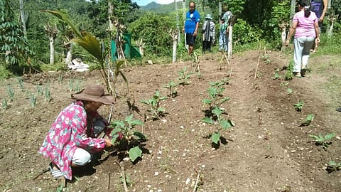 Kalahi-CIDSS mipalig-on sa mga
mang-uuma sa Catmon, Sugbo 
